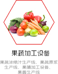 果蔬加工設(shè)備